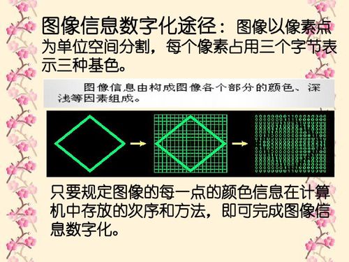 計(jì)算機(jī)中的聲音世界 信息技術(shù)與計(jì)算機(jī)信息技術(shù)開(kāi)發(fā)的交融